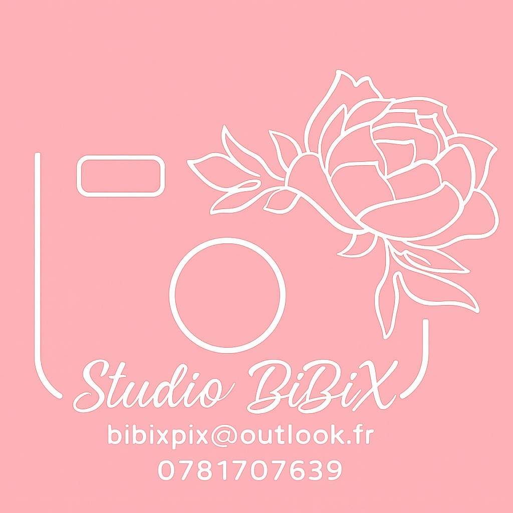 Logo Studio BiBiX